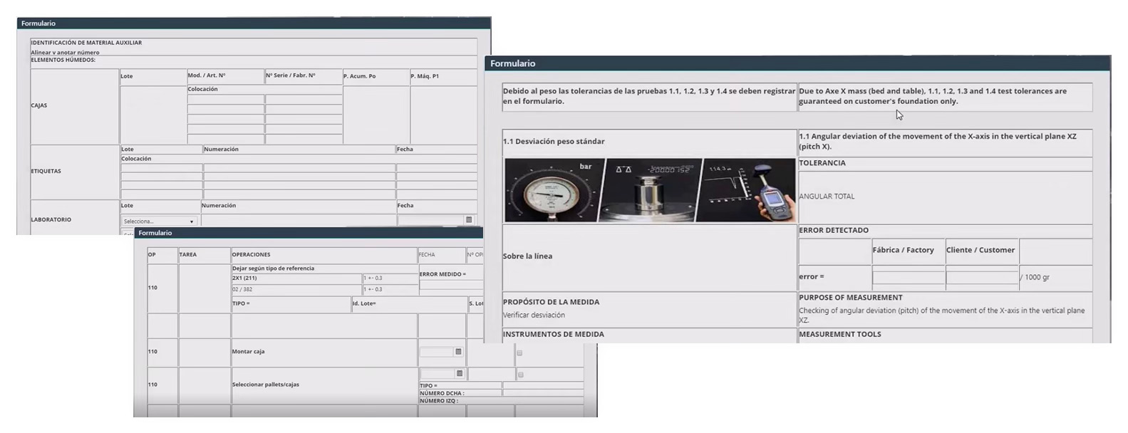 Captura de pantalla aplicación auditoría